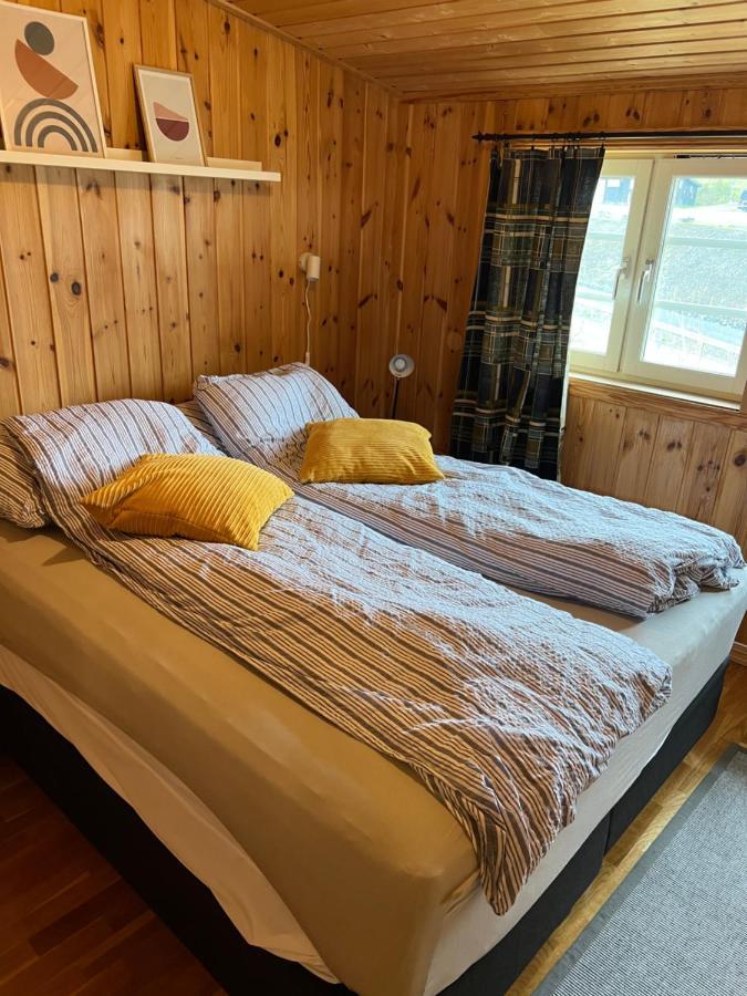 Skeikampen Leilighet, Veslesetervegen 973 F Διαμέρισμα Svingvoll Εξωτερικό φωτογραφία